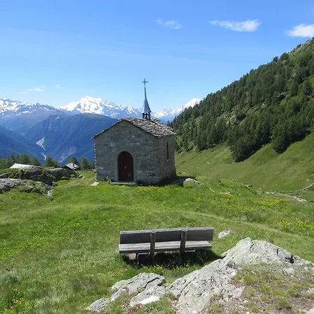 Panorama *